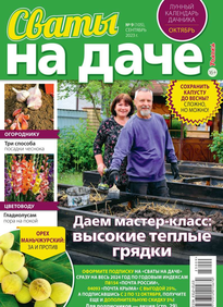 Сваты на Даче