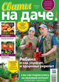 Сваты на Даче