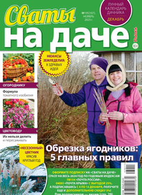 Сваты на Даче