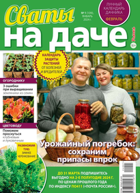 Сваты на Даче