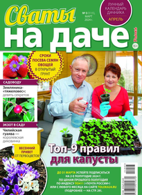 Сваты на Даче