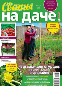 Сваты на Даче