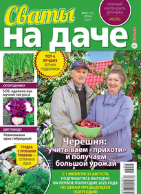 Сваты на Даче