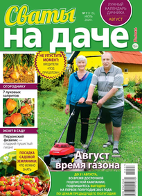 Сваты на Даче