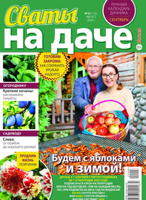 Сваты на Даче