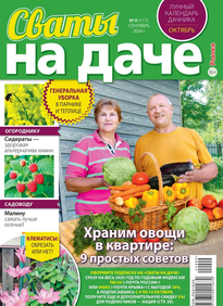 Сваты на Даче