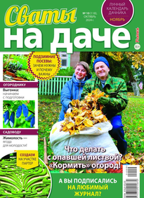 Сваты на Даче