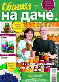 Сваты на Даче