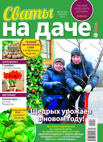 Сваты на Даче