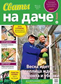 Сваты на Даче