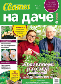 Сваты на Даче