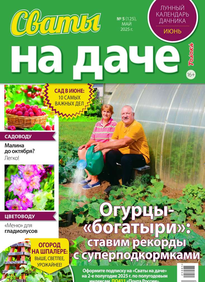 Сваты на Даче