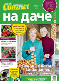 Сваты на Даче