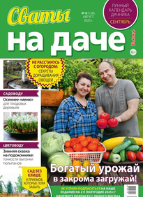 Сваты на Даче