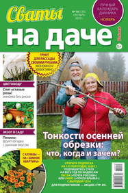 Сваты на Даче