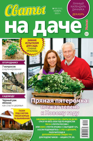 Сваты на Даче