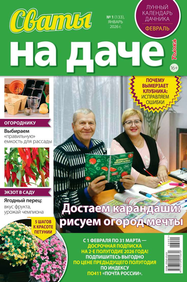 Сваты на Даче