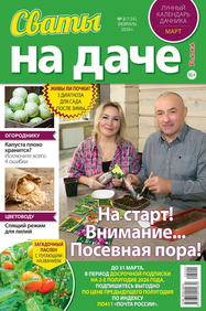 Сваты на Даче