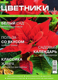 Цветники в Саду