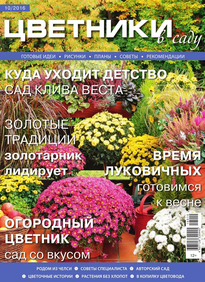 Цветники в Саду