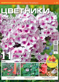 Цветники в Саду