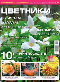 Цветники в Саду