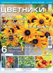 Цветники в Саду