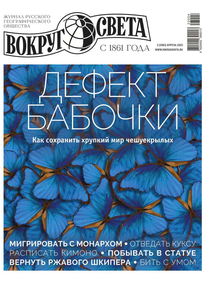 Вокруг света