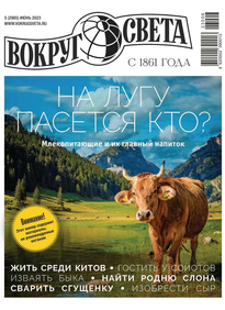 Вокруг света